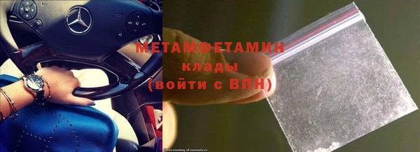 прущие грибы Вяземский