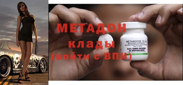 прущие грибы Вяземский