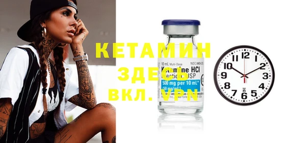 прущие грибы Вяземский