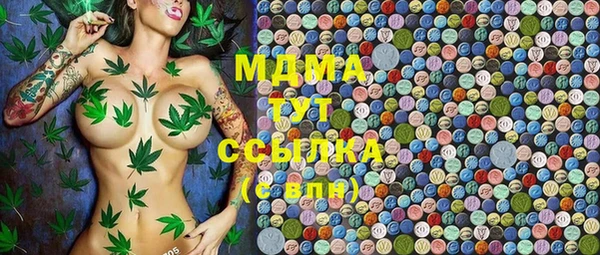прущие грибы Вяземский
