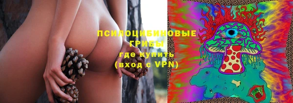 прущие грибы Вяземский