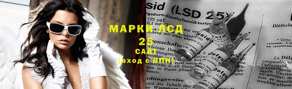 прущие грибы Вяземский